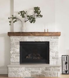 a fireplace with a potted plant sitting on top of it