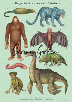 an illustrated book with different types of animals