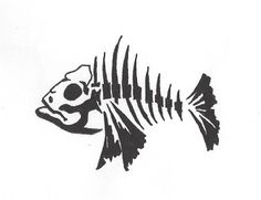 a fish skeleton is shown in black and white with an orange stripe on it's side