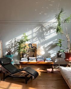 a living room filled with furniture and lots of plants