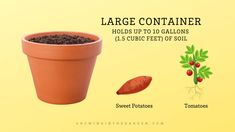 there is a potted plant with dirt and carrots next to it, along with the words large container holds up to 10 gallon 1 5 cubic feet of soil