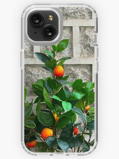 an orange tree in front of a brick wall with leaves and fruit growing on it