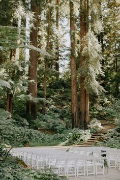 an outdoor ceremony in the woods with white chairs