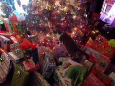 a cat sitting on top of presents under a christmas tree in front of a decorated christmas tree