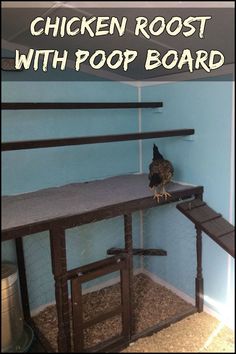 a small bird sitting on top of a wooden shelf in a room with blue walls