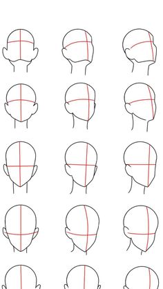 step by step drawing instructions to draw the head