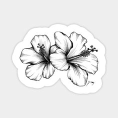 a black and white drawing of two flowers