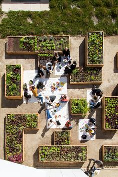 an overhead view of several people sitting at tables with plants growing in them and on the ground