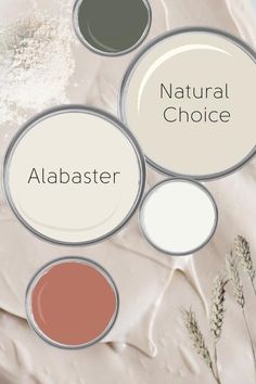 four different shades of paint sitting on top of a white sheet with the words natural choice