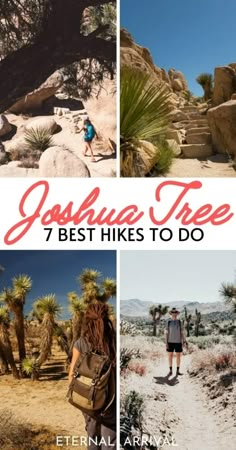 joshua tree is the best hikes to do