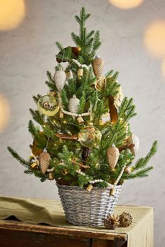 a small christmas tree in a basket on a table