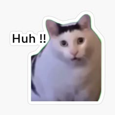 a cat with the words hun on it's face in front of a white background