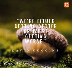 a mushroom sitting on top of grass with a quote about getting better or getting worse