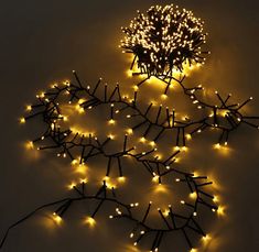 a bunch of lights that are on the ground next to each other and some branches