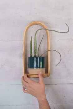 a hand is holding up a wooden shelf with a potted plant on it,