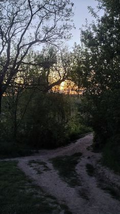 the sun is setting in the distance behind some trees and dirt path with grass on both sides