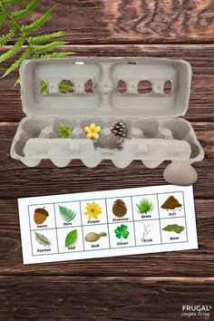 an egg carton filled with different types of plants and flowers on top of a wooden table