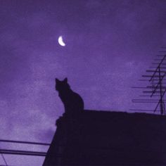 a black cat sitting on top of a roof under a purple sky with the moon in the distance