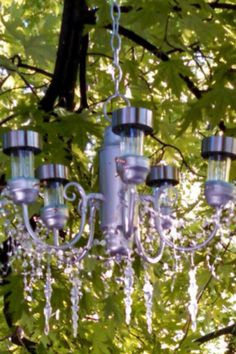 a chandelier hanging from a tree in the sunlight