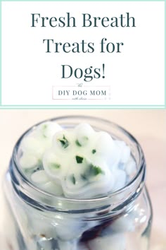 a mason jar filled with dog treats and the words, fresh breath treats for dogs diy dog mom