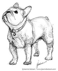 a drawing of a dog with a collar