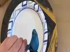 a blue bird sitting on top of a mirror next to a person's hand