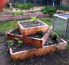 three wooden raised planters with plants growing out of them in a yard next to a brick wall