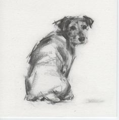 a black and white drawing of a dog sitting in front of a white background,