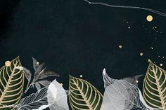 a black background with leaves and gold dots