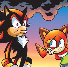 an image of two sonic and tails characters