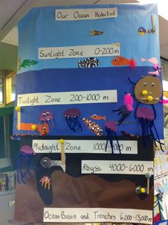 this is an image of a bulletin board with sea animals and marine life on it