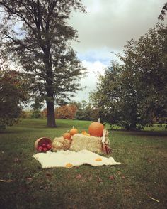 a teddy bear laying on top of a blanket in the middle of a field with pumpkins