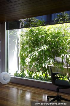 an office chair sitting in front of a window with plants on the outside and inside