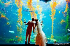 a bride and groom standing in front of an aquarium