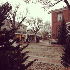 there are many small trees in front of the buildings on this cobblestone street