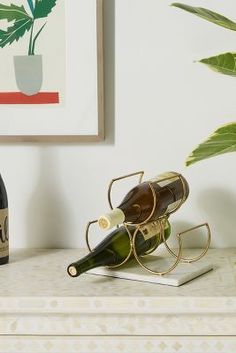 two bottles of wine are sitting on a table next to a potted plant and glasses