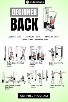 an exercise manual for the beginer to do back exercises