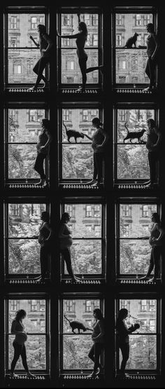 black and white photograph of people standing in front of a window with cats on the windowsill