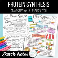 a notebook with the words protein synthesis and translation written on it next to colored pencils