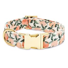 an orange flower print dog collar with gold buckle