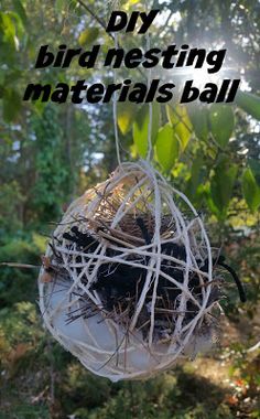 a bird nest hanging from a tree with the words diy bird nesting materials ball