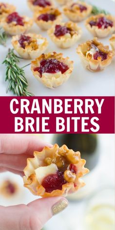 cranberry brie bites are the perfect appetizer for any holiday gathering