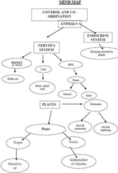 the mind map is shown in black and white, as well as several other diagrams