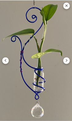 a plant in a glass vase hanging from a chain with blue swirls on it