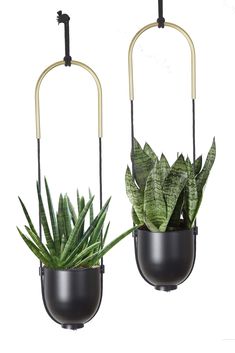 two hanging planters with plants in them, one is black and the other is green