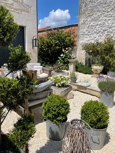 an outdoor garden with potted plants and stone benches in the center, surrounded by gravel