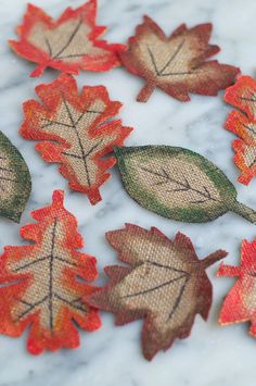 several autumn leaves are arranged on a marble surface