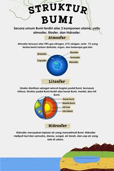 the structure of an animal's body and its surroundings infographicly displayed on a white background