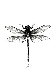 a black and white drawing of a dragonfly with the words oh no on it