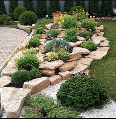 a garden filled with lots of plants and rocks in the middle of a lawn area